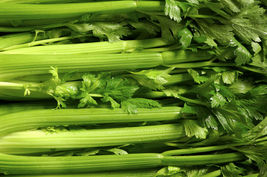 3 Variety Tendercrisp Celery Fresh Seed #IMA30 - $15.99