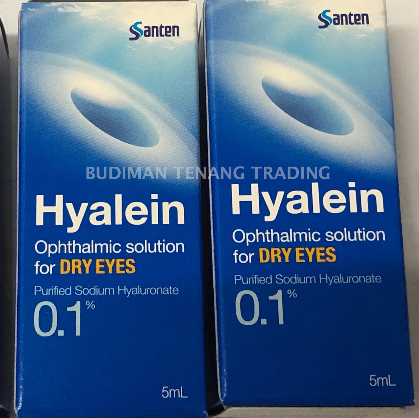 10 Box Santen Hyalein Ophthalmic Solution (Eye Drop) for dry eyes 5ml