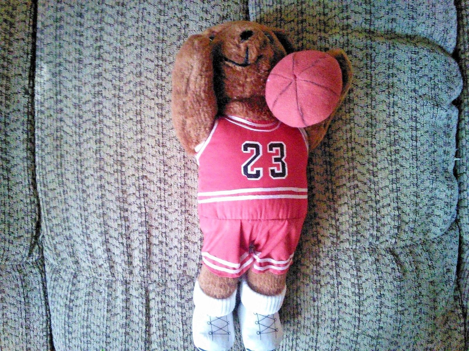 jordan plush