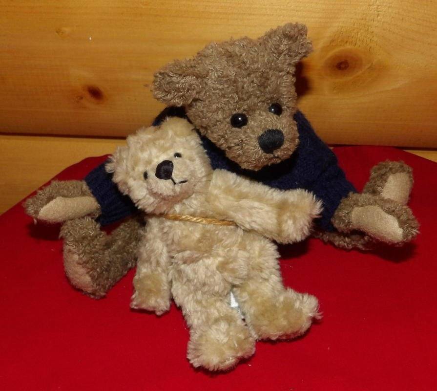 ganz bears cottage collectables