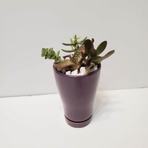 Succulent Arrangement in Purple Ceramic Planter, Houseplant, Flower Plant Pot image 2