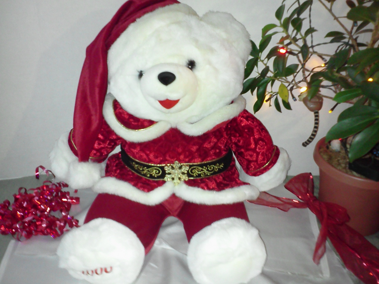 santa claus bear