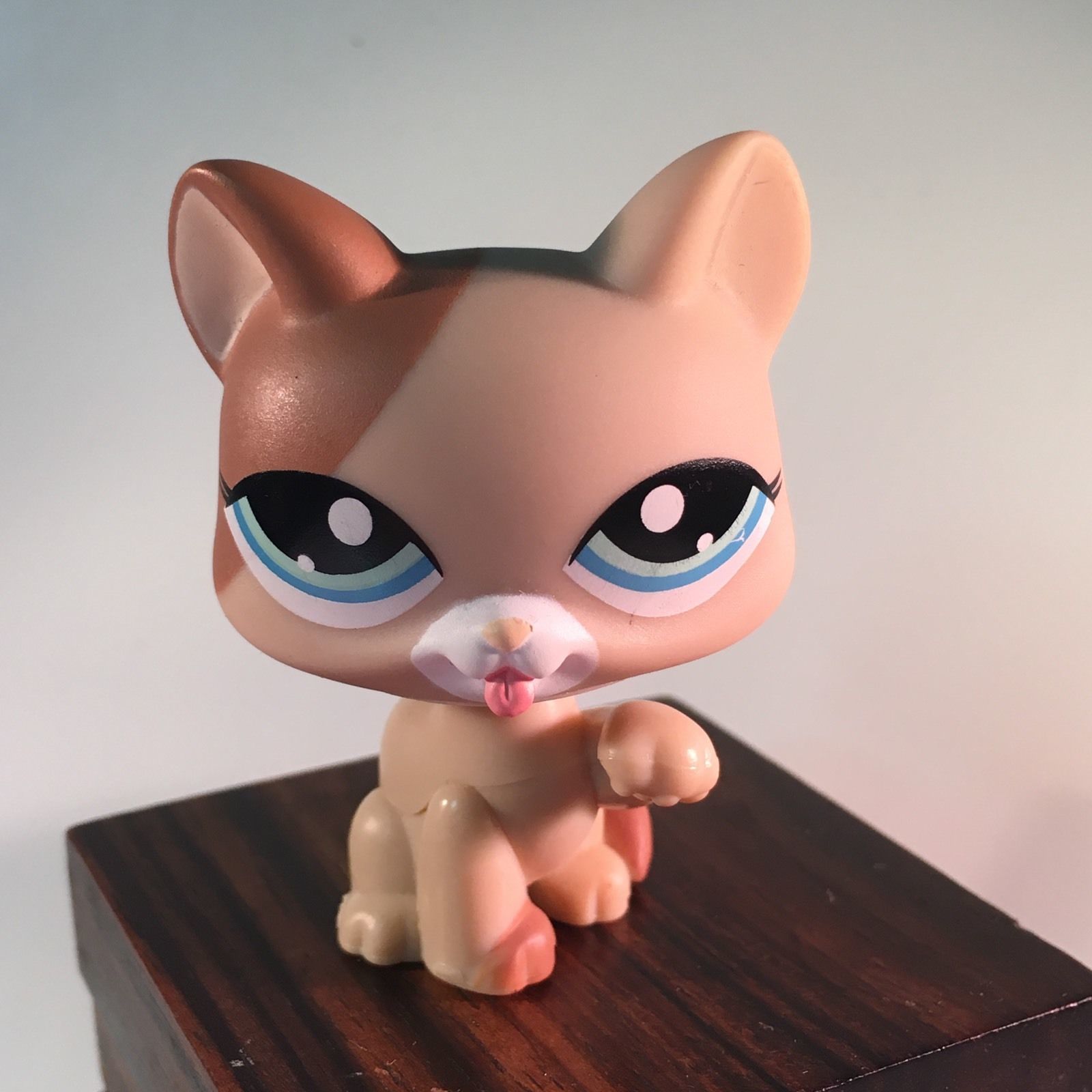 Littlest Pet Shop LPS #1363 Tan And Brown Kitty Cat Blue Eyes Licking