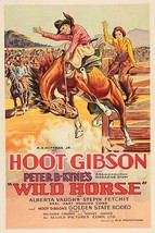 Wild Horse 20 x 30 Poster - $25.98