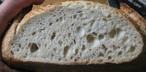 Primary image for Our San Francisco Leaven Starter Yeast Flour Mix Failure Top Seller @-
show o...