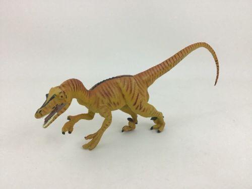 carnegie velociraptor