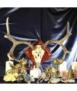 Unique Talking Buck Pagan Skull Talisman! OOAK Hand Designed &amp; Created! - $69,299.99
