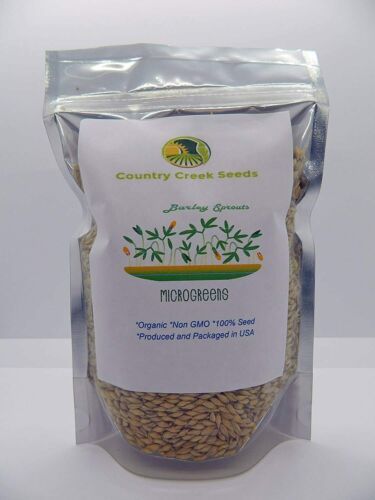 3 oz Barley - Organic- NON GMO microgreen seeds for Sprouting Sprouts