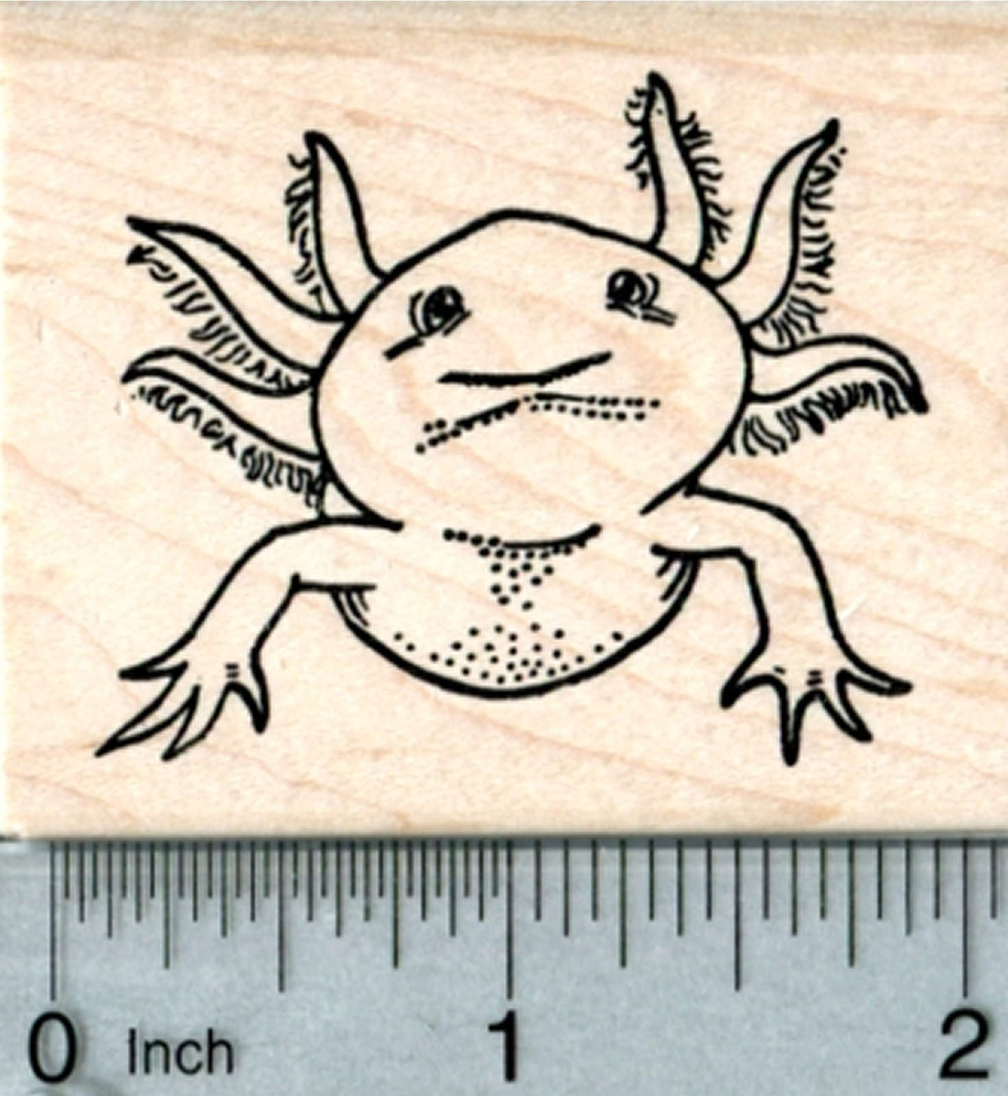 Wild Turkey rubber stamp G11111 WM Thanksgiving