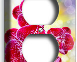 57 thumb155 crop