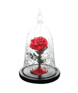 REAL Preserved Forever Rose Beauty &amp; Beast Birthday Valentine&#39;s Day Gift - $215.99