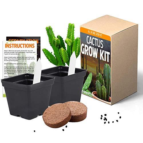 Cactus Plant Seeds Growing Kit All in One Cacti Succulent Plant Growing Kit Gi Other Garden