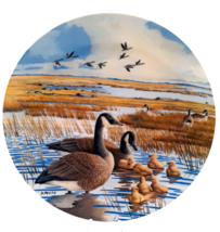 The Family - Canadian Geese Collector Plate Bradford Exchange 1987 Plate... - $12.99