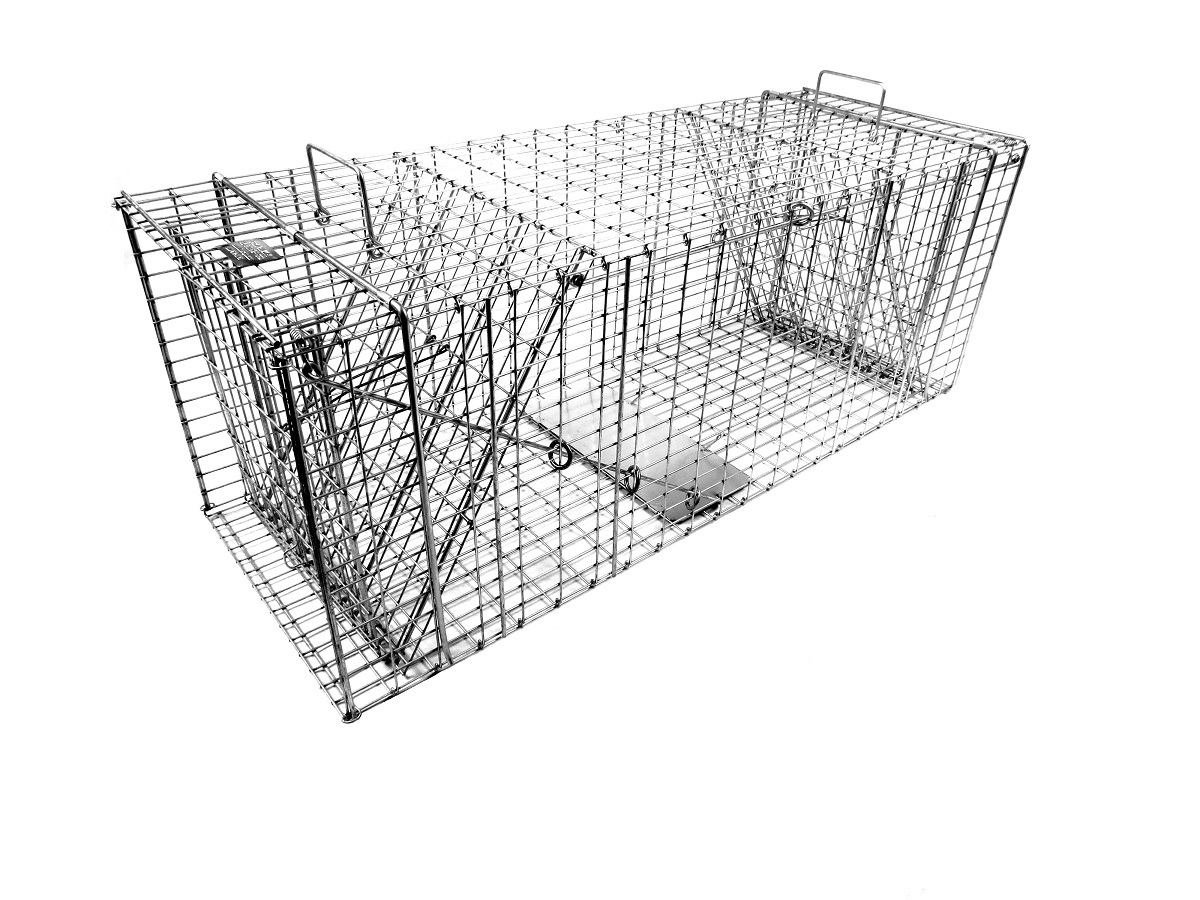 Tomahawk Model 208 Collapsible Fox, Bobcat, Small Dog Trap with Two