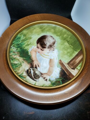 Primary image for Donald Zolan Vintage Handpainted Collectors Plate with Frame "Backyard Discovery