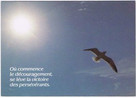 Belgium Postcard Where Discouragement Begins The Victory Seagull Sunlight - £1.66 GBP