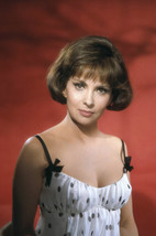 Gina Lollobrigida sexy exotic pose in negligee 18x24 Poster - $23.99