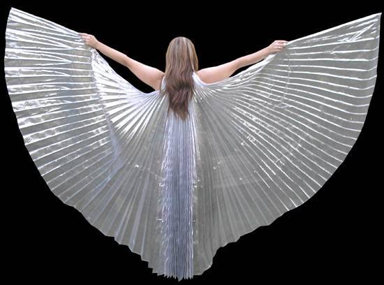 High Quality Gorgeous Sexy Belly Dance Costume SILVER ISIS WINGS...With Sticks