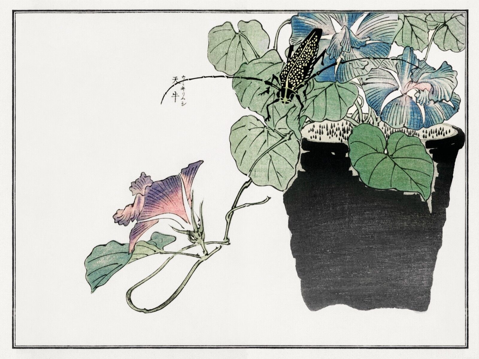 10075.Decor Poster.Room home wall.1910 Japan print.Morimoto Toko art.Floral