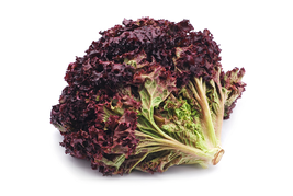 Lettuce Seeds - Leaf - Ruby Red - Outdoor Living - Gardening - Free Shippng - $31.99