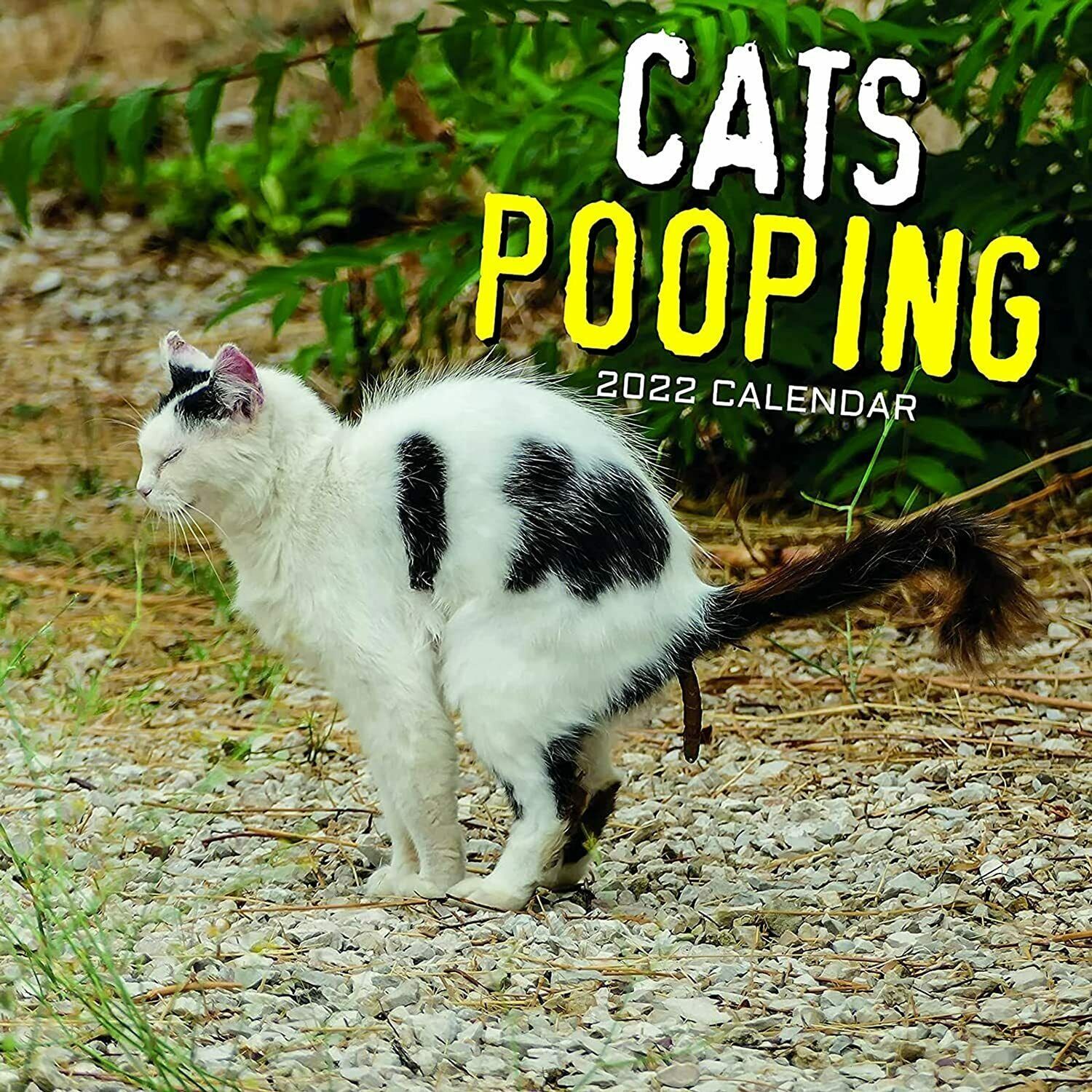 Pooping Cats 16 Months Wall Calendar 2022 Current Year, Next Year
