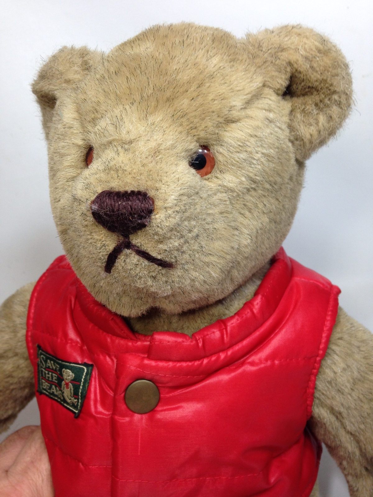 bialosky bears