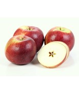 Kauffman Orchards Fresh-Picked Empire Apples - $28.00 - $95.00