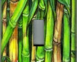 Bamboo single thumb155 crop