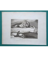 AESOP FABLES Lion &amp; Fearless Fox - 1810 Original Etching Print by S. Howitt - $29.25