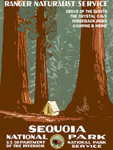Sequoia National Park - 1930's - Travel Advertising Poster - $32.99