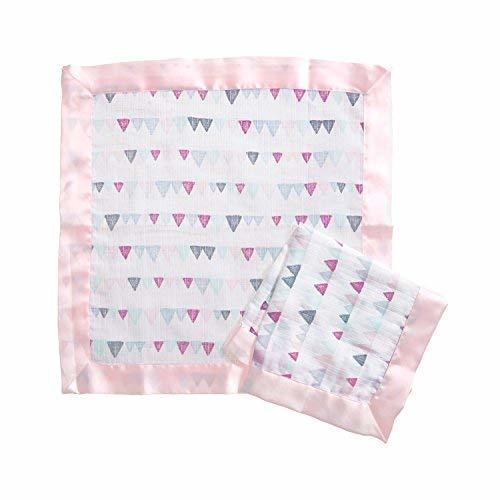 Aden by Aden + Anais Security Blanket 2 Pack, Pretty Pink Blankets