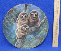 Hamilton Collectors Plate Tree House Trio Owls Woodland Babies Manning USA - $11.28