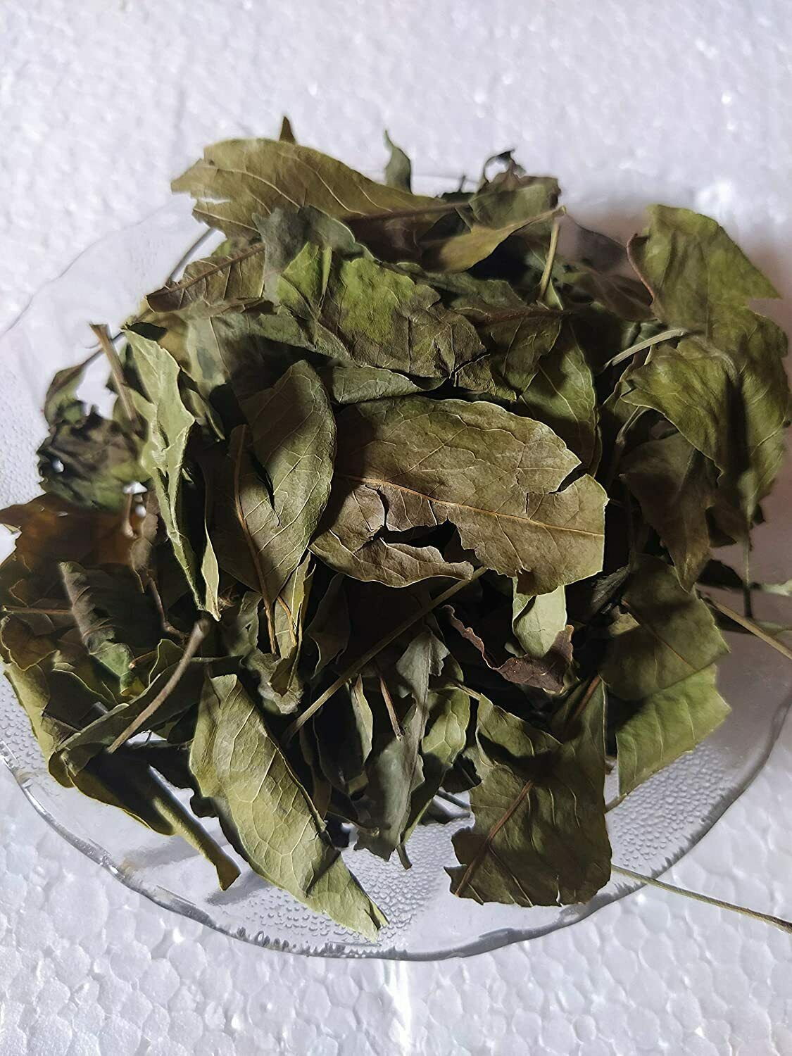 Indian Bilva Patra, Bel Patta, Bael Patra, Aegle Marmelos leaves FREE