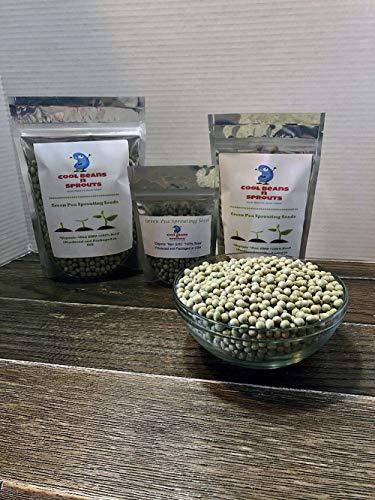 COOL BEANS n SPROUTS Brand, Green Pea Seeds for Sprouting Microgreens,2 Ounces
