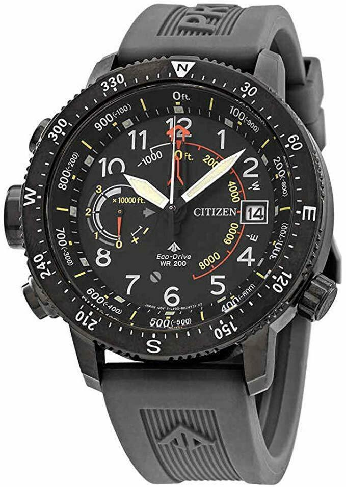 citizen men's promaster altichron