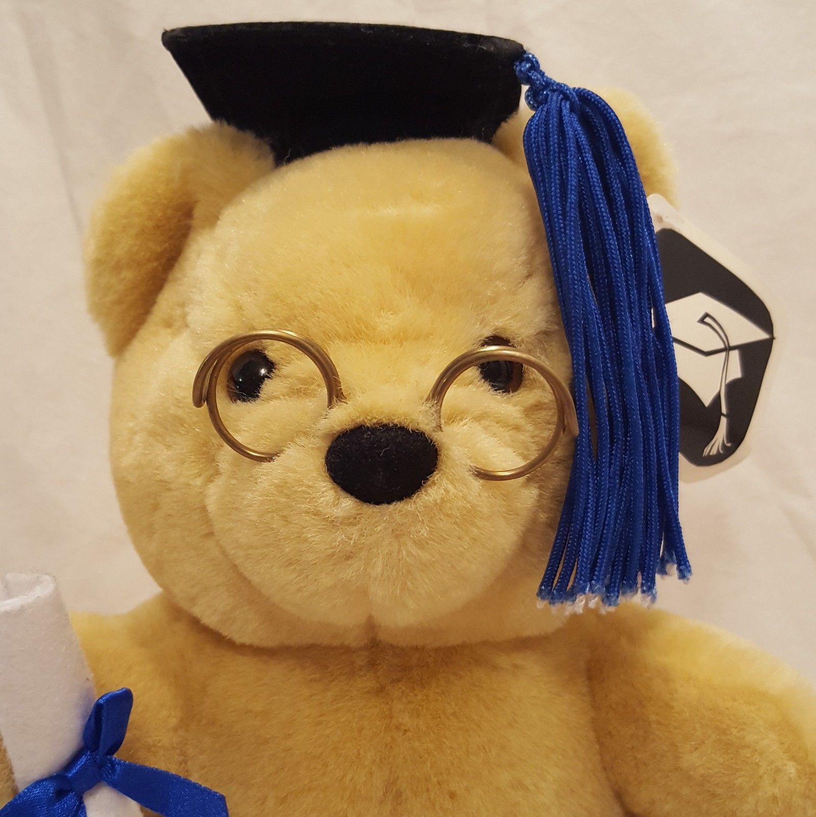 graduation teddy bear kmart