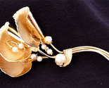Alicegfpearlbrooch4 thumb155 crop
