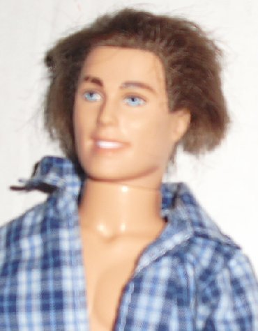 barbie ken doll brown hair