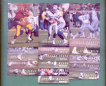 94pacififcollectionlions thumb155 crop