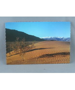 Vintage Postcard - Death Valley National Monument Desert View - Fred Harvey - $15.00