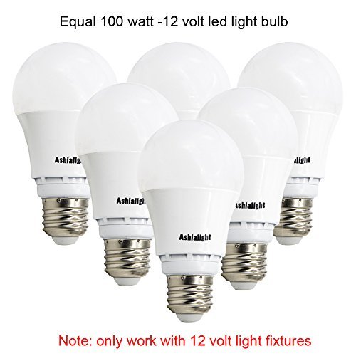 Ashialight 12 Volt DC Light Bulb - LED Replacement 100-Watt Incandescent Bulbs, - Landscape ...