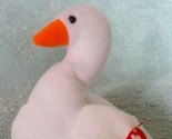 t2ec16zhjfsffsh18blmbr 6ogj7 q 60 57 thumb155 crop