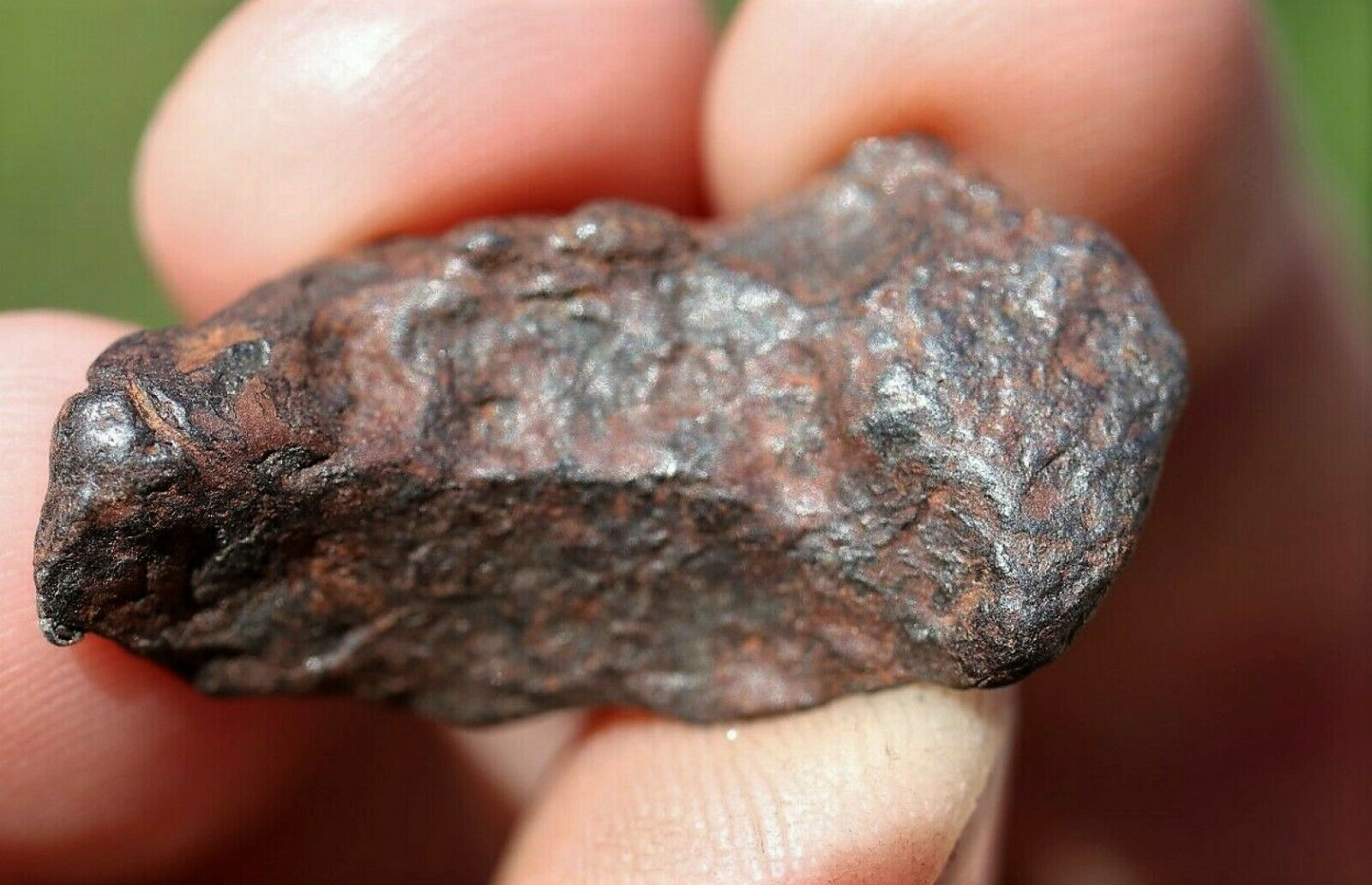 CANYON DIABLO IRON NICKEL METEORITE PIECE METEOR IMPACT SPACE ROCK ASTEROID NICE Meteorites