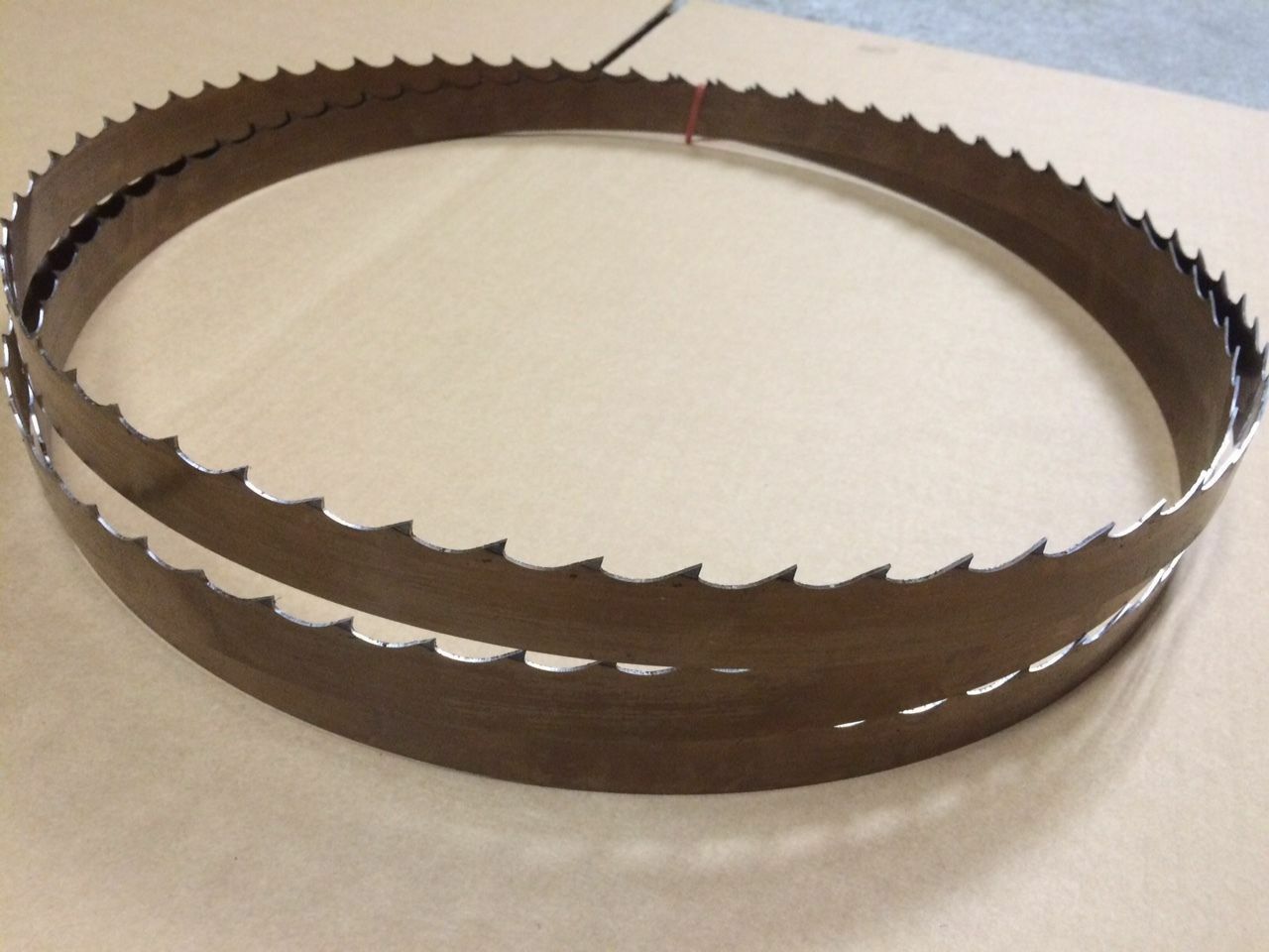Qty 1 Wood Mizer SilverTip Band saw Blade 12