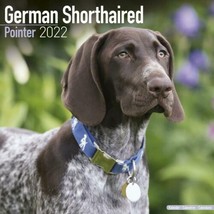 German Shorthair Pointer Calendar 2022 by Avonside - $15.99