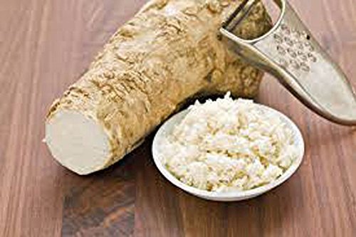 Horseradish Root, Sauget, 9 ounces (Sold by Weight). Great for Planting, Seasoni