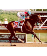 DVD - CIGAR&#39;s &quot;RACE to HISTORY&quot; - 4 Entire RACE BROADCASTS!! 2-1/2 HOURS!! - $34.99