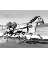 DVD - Harness Greats: DAN PATCH/Greyhound/MACK LOBELL/Nevele Pride/SPEED... - $34.99