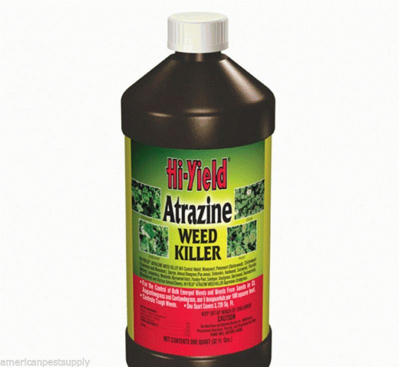 Atrazine Weed Killer 1 Quart For Use In St. Augustine and Centipede Grass Herbicides & Fungicides