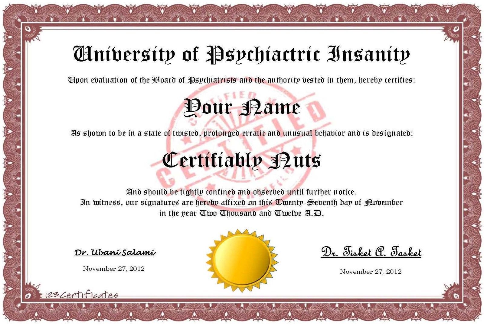Insane University Certificate * Humor * Novelty * Gag Gift